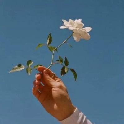 天山剑灵内购破解版下载
